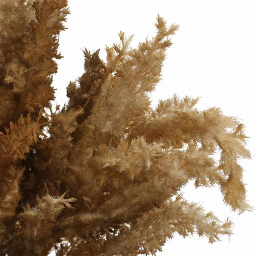 Floristik24 Keinotekoinen Pampas Grass ruskea kuiva Deco koriste ruoho 35cm 4kpl 4kpl
