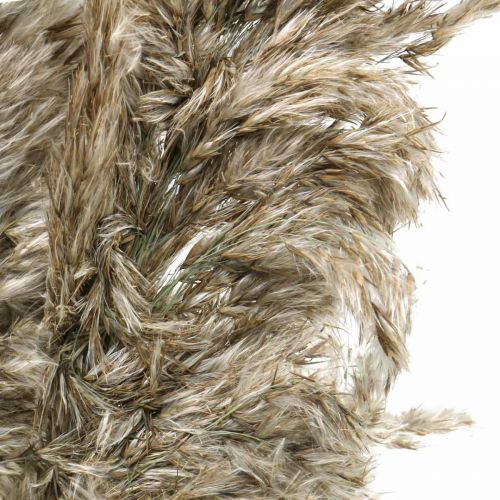 Kuivattu pampasruoho luonnollinen kuivakimppuun 70-75cm 6kpl