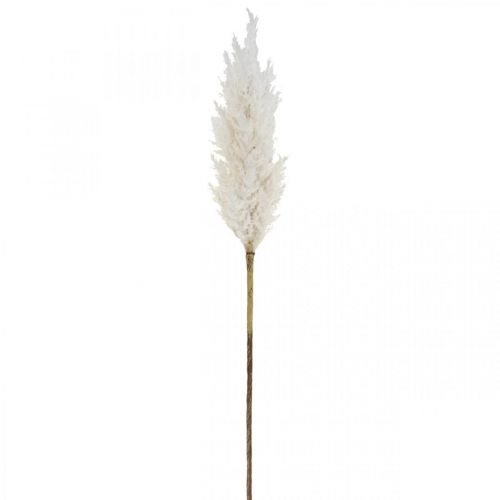kohteita Pampas Grass Valkoinen Keinotekoinen Kuiva Ruoho Keinotekoiset kasvit