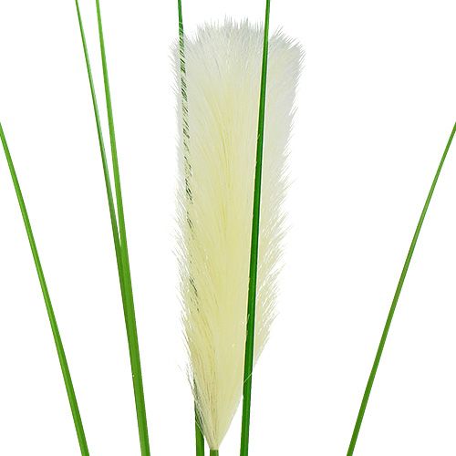 Floristik24 Pampas ruohohihnat kermanvihreä H100cm