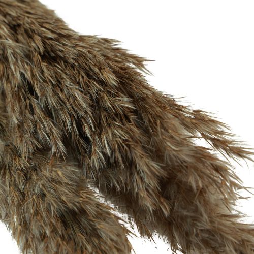 kohteita Pampas-ruohokuivattu koristeellinen kuivanurmi luonnonmukainen 95cm 3 kpl
