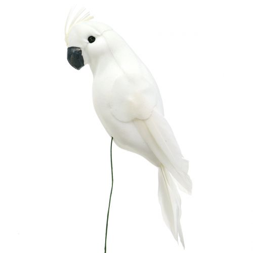 Floristik24 Papukaijat höyhenillä valkoinen Keinotekoinen kakadu koristelintu 4kpl