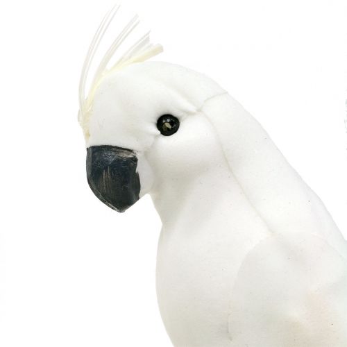 kohteita Papukaijat höyhenillä valkoinen Keinotekoinen kakadu koristelintu 4kpl