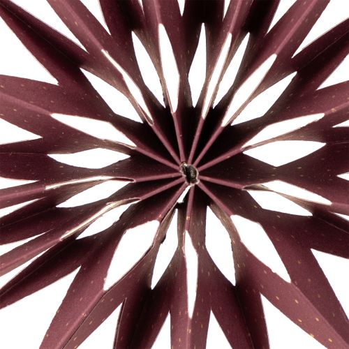 kohteita Koristeelliset paperitähdet ripustettavaksi, täydelliset juhlakoristeisiin