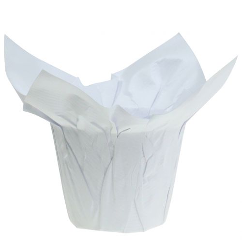 Floristik24 Paperiruukut valkoinen Ø10cm 12kpl