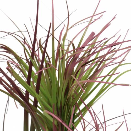 Floristik24 Sedge ruoho ruukussa keinotekoinen vihreä, punainen violetti 45cm