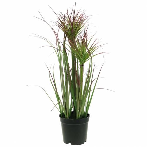 Floristik24 Sedge ruoho ruukussa keinotekoinen vihreä, punainen violetti 45cm