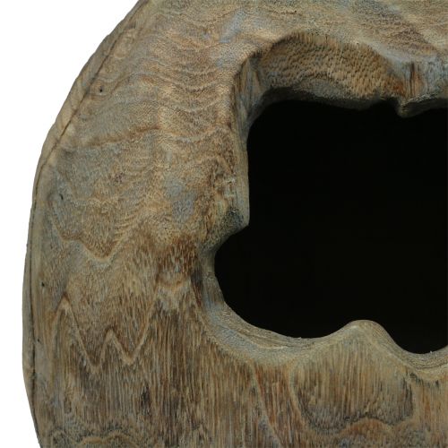 kohteita Koristeellinen veistoskasvipallo paulownia-puusta H68cm