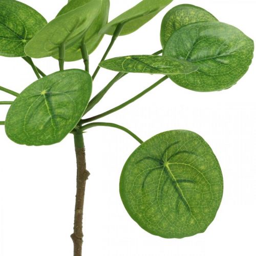 Floristik24 Peperomia Keinotekoinen vihreä kasvi, jonka lehdet 30cm