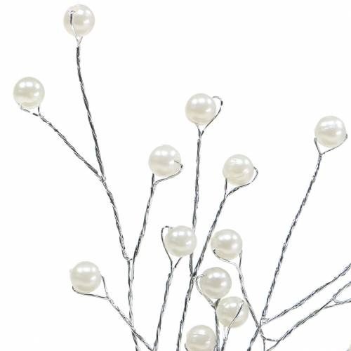 Floristik24 Helmioksasamppanja L18cm 2 kpl