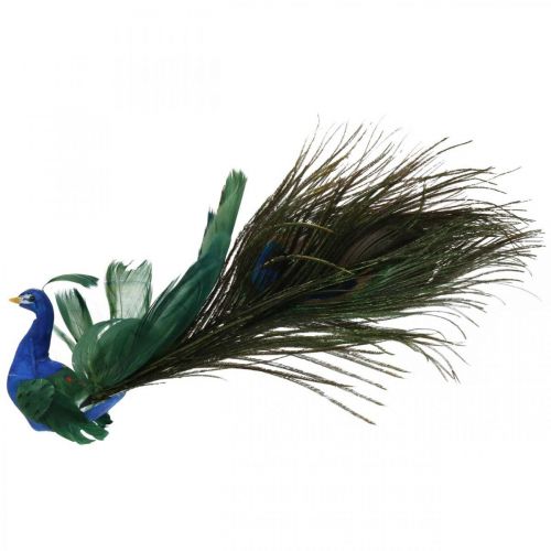 Floristik24 Paratiisin lintu, riikinkukko kiinni, höyhenlintu, lintukoristeet sininen, vihreä, värikäs H8,5 L29cm