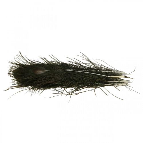 Floristik24 Riikinkukon höyhenet koristelu Aidot askarteluhöyhenet Natural 24-32cm 24 kpl