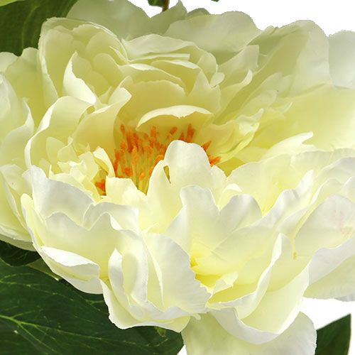 Floristik24 Pioni tekokukkavoide L70cm
