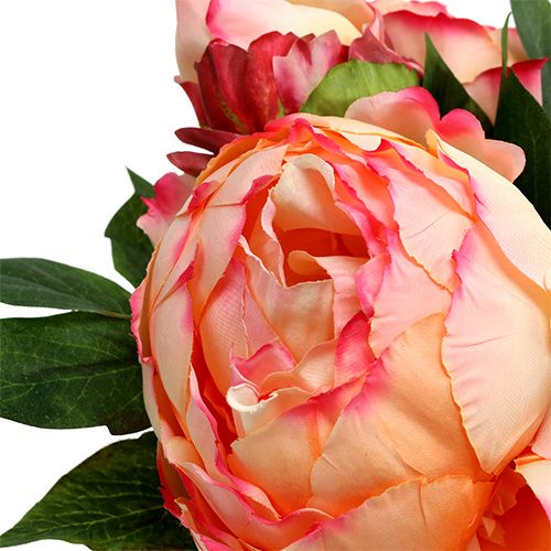 Floristik24 Pioni kimppu persikka 30cm