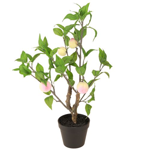 kohteita Persikkapuu ruukussa 4 hedelmällä Keinotekoinen H53cm