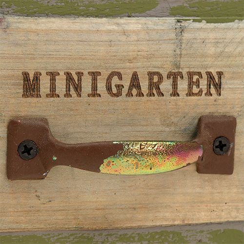 Floristik24 Kasvien laatikon puu 11,5 cm x 11 cm