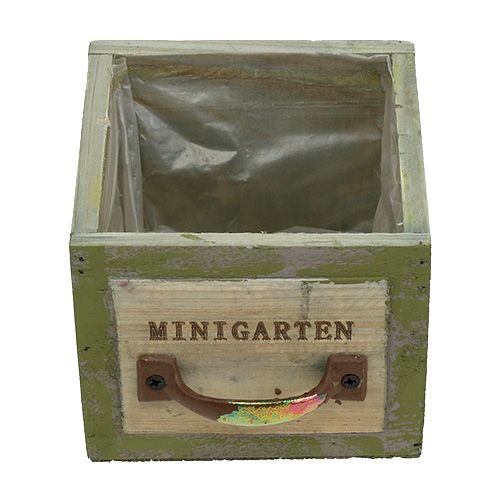 Floristik24 Kasvien laatikon puu 11,5 cm x 11 cm