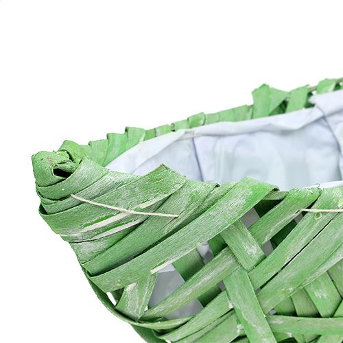 Floristik24 Kasvien sukkulanvihreä 37cm x 13cm K13.5cm