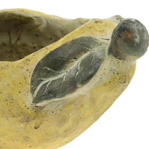 kohteita Päärynä istutukseen, syksyn koristeluun, betoniastia L19cm H15,5cm