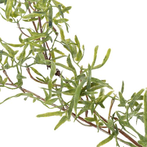 kohteita Parsasköynnös juhlavaan huoneenkoristeeseen ja tyylikkäisiin tilaisuuksiin, 170 cm