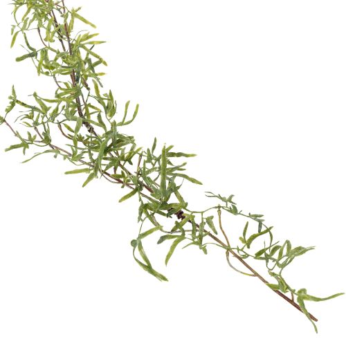 kohteita Parsasköynnös juhlavaan huoneenkoristeeseen ja tyylikkäisiin tilaisuuksiin, 170 cm