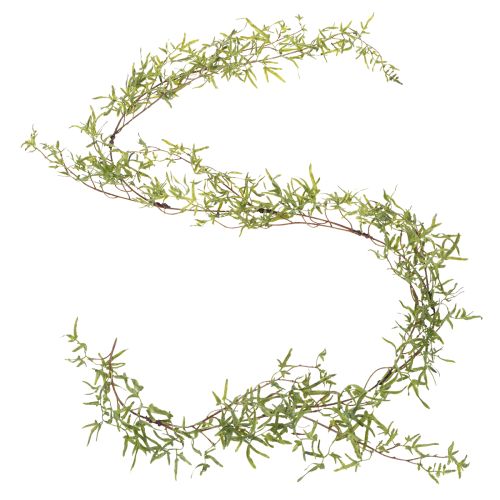 kohteita Parsasköynnös juhlavaan huoneenkoristeeseen ja tyylikkäisiin tilaisuuksiin, 170 cm