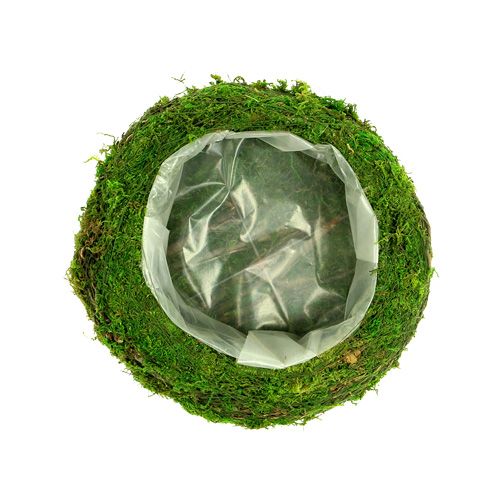 Floristik24 Istuta kulhon sammal oksat Ø20cm
