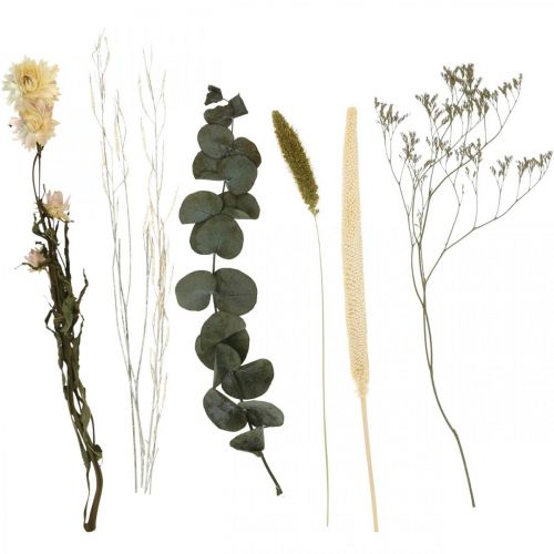 Floristik24 Kuivatut kukkakimppu eukalyptus kuiva kukkasarja H30-35cm