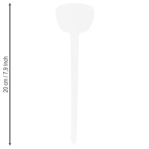 kohteita Kasvitarra 16cm 10kpl.