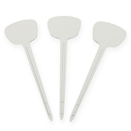 Floristik24 Kasvikyltti 12cm 100p