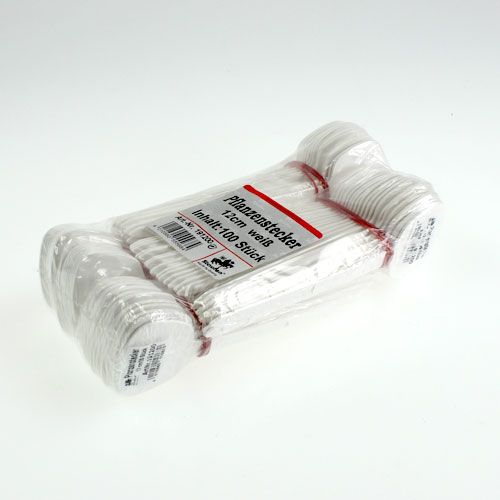 Floristik24 Kasvikyltti 12cm 100p