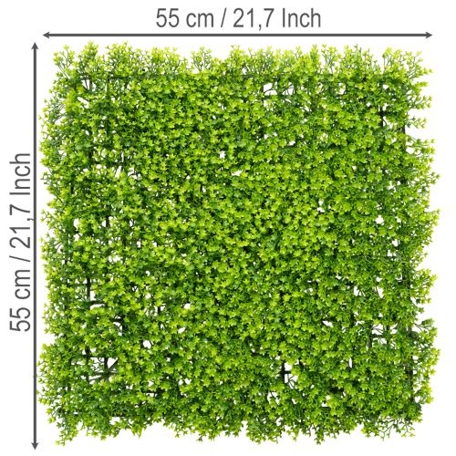 Keinotekoinen puksipuukasvimatto 55x55 cm koristeelliseen seinäsuunnitteluun | Floristik24.fi