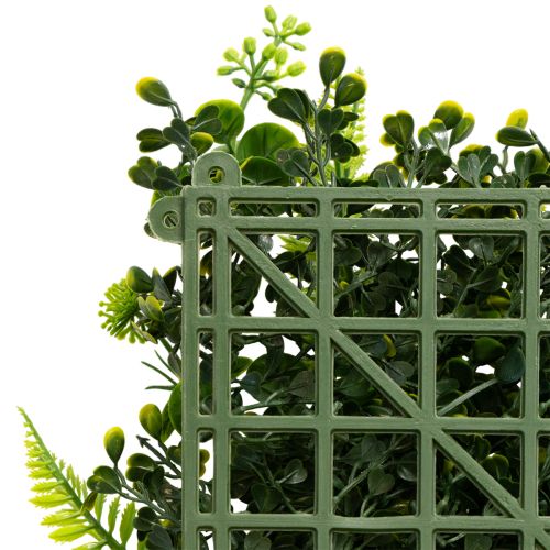 Keinotekoinen kasviseinä 100 x 55 cm pystysuuntainen viheralue | Floristik24.fi