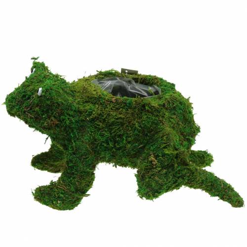 kohteita Istutusammakko sammalenvihreällä 35 × 25cm K21cm