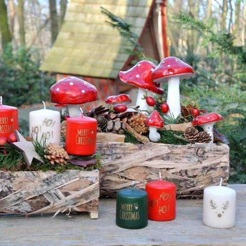 Floristik24 Koivun istutin 25cm x 10cm / 30cm x 15cm 2kpl