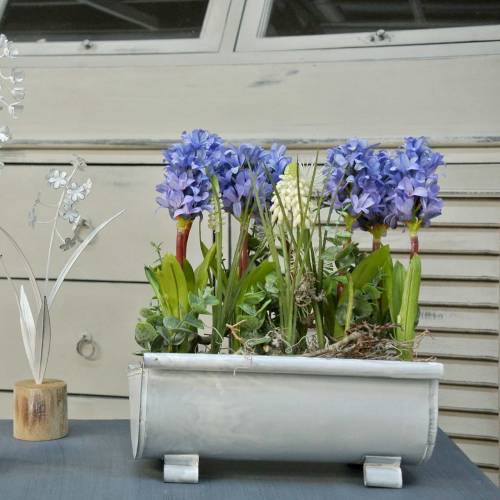 Floristik24 Istutuskouru 25cm