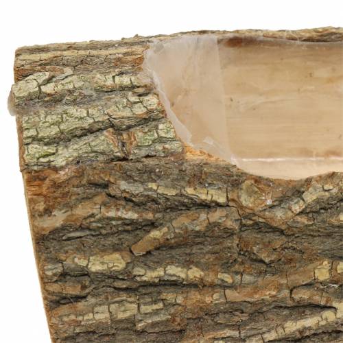 Floristik24 Istutusjalava puu 29cm x 11cm K10cm