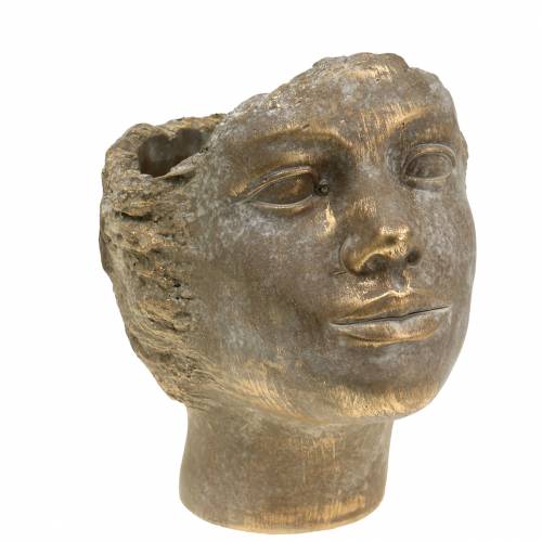 Floristik24 Kasvien pääkasvien rintakulta H20cm