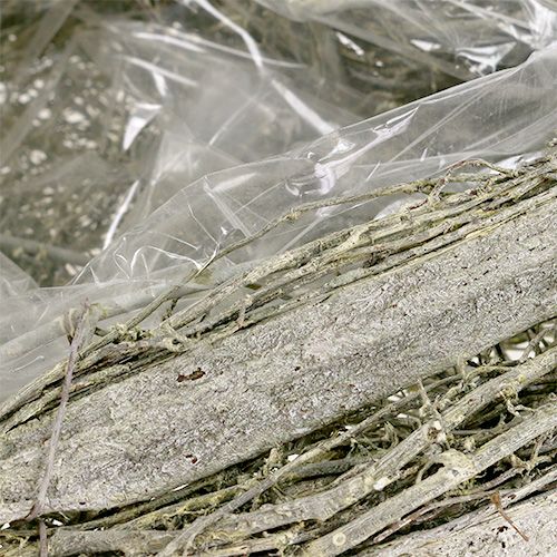 Floristik24 Kasvien sydänvihreä pesty L25cm W20cm