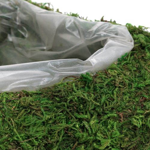 Floristik24 Kasvin sydänsammaleen koko 28cm x 23cm