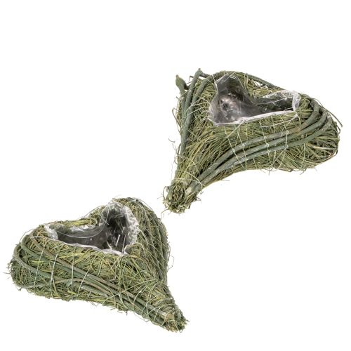 Luonnonmateriaalista valmistettu kasvisydän foliotäytteellä, 22 cm, 2 kpl