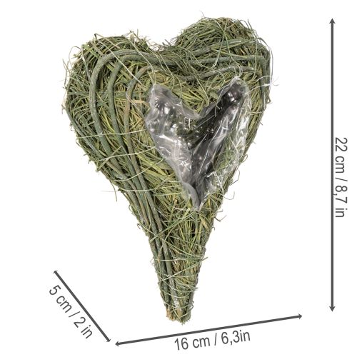 Luonnonmateriaalista valmistettu kasvisydän foliotäytteellä, 22 cm, 2 kpl | Floristik24.fi