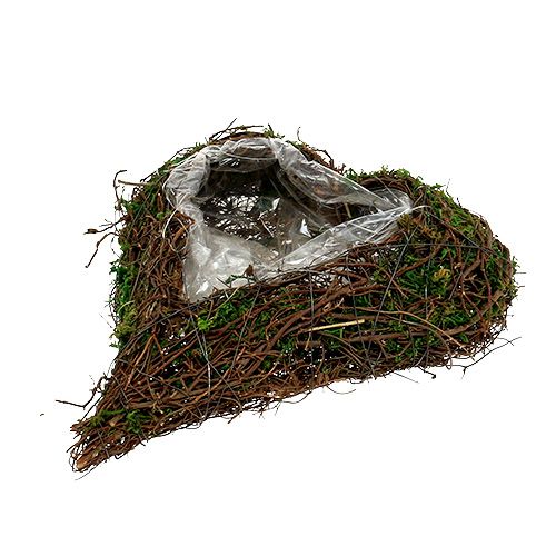 kohteita Istuta sydänköynnös, sammal 22cm x 25cm K7cm