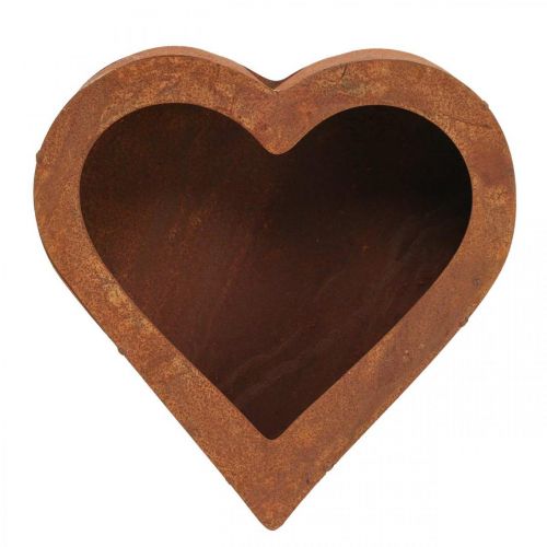 Kasvisydän metallinen patina koristeellinen istutuslautanen metalli 20×20×5cm