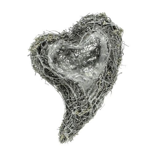 kohteita Kasvi sydänköynnös 15cm x 23cm x 5cm valkoinen 4 kpl
