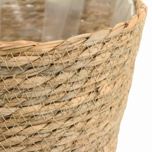 Kasvikori istutuskone meriruohokori deco nature Ø23cm K20cm