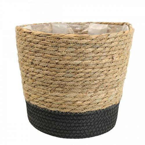 Floristik24 Kasvikori istutuskone meriruohokori deco nature Ø23cm K20cm