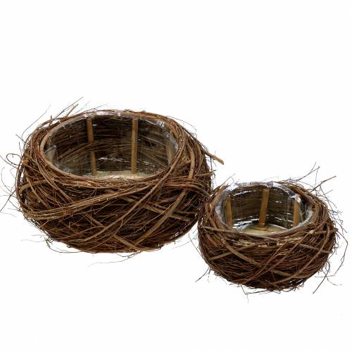 Kasvikori viiniköynnös ja oksia luonnollinen Ø37 / 28cm, sarja 2 kpl