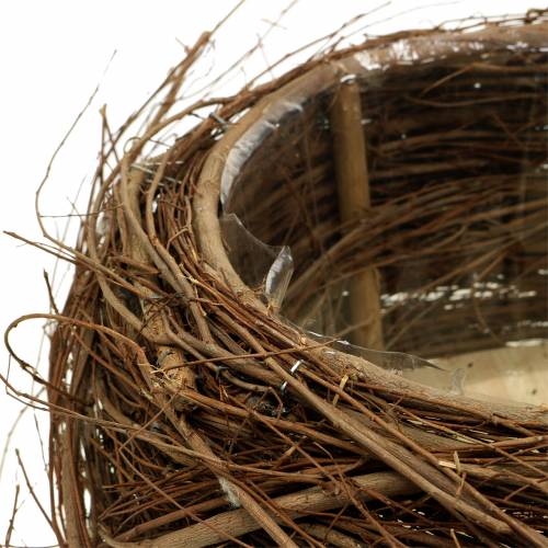Kasvikori viiniköynnös ja oksia luonnollinen Ø37 / 28cm, sarja 2 kpl | Floristik24.fi