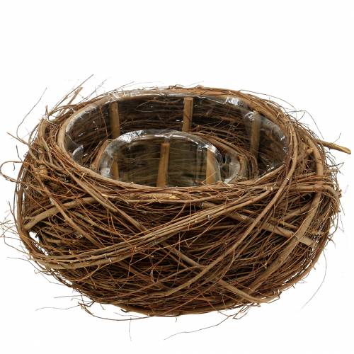 Kasvikori viiniköynnös ja oksia luonnollinen Ø37 / 28cm, sarja 2 kpl | Floristik24.fi